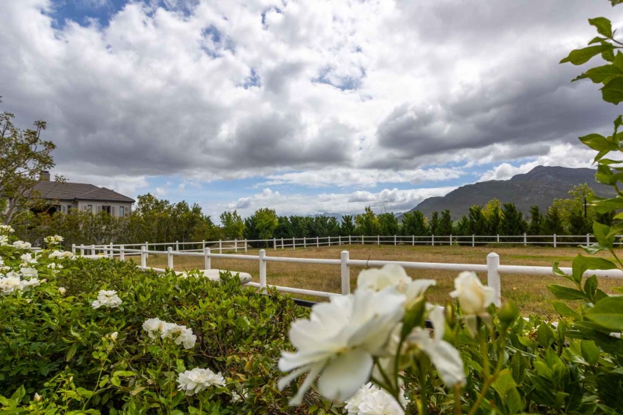 4 Bedroom Property for Sale in Val De Vie Estate Western Cape